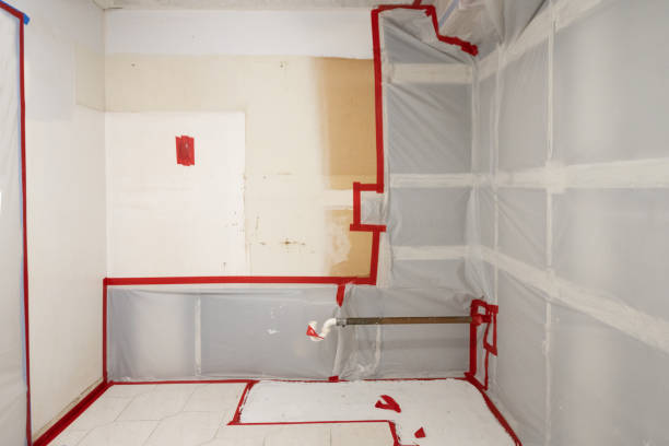 Best Black Mold Removal  in Nashua, IA