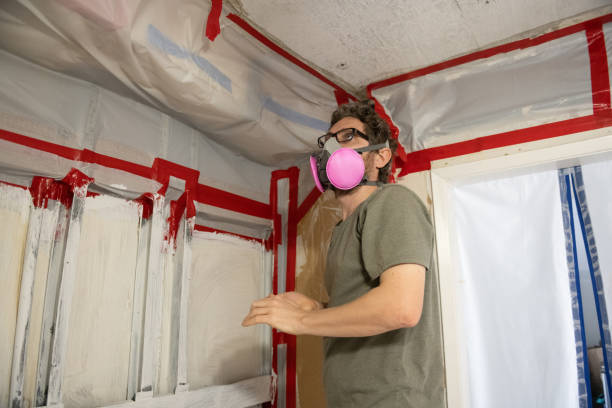 Best Biohazard Mold Removal  in Nashua, IA