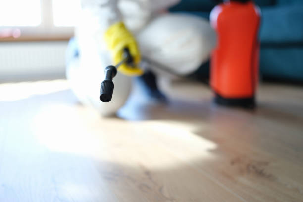 Best Mold Documentation for Insurance Claims  in Nashua, IA