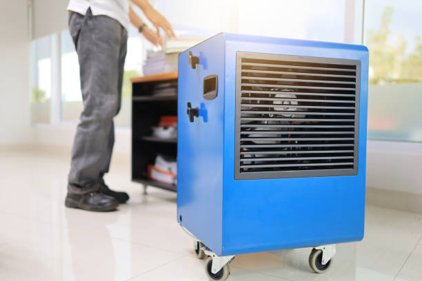 Biohazard Mold Removal in Nashua, IA